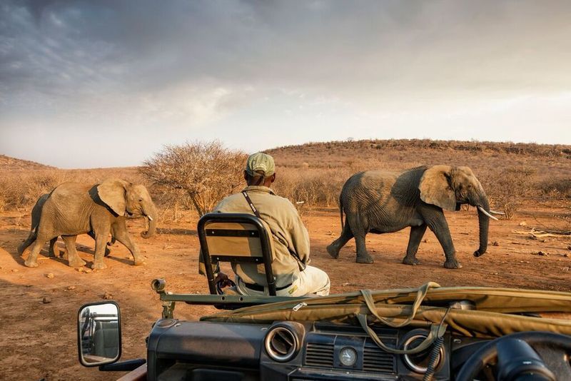 Impodimo Game Lodge Madikwe viltreservat Exteriör bild