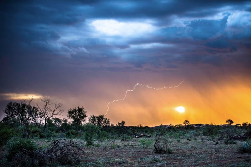 Impodimo Game Lodge Madikwe viltreservat Exteriör bild